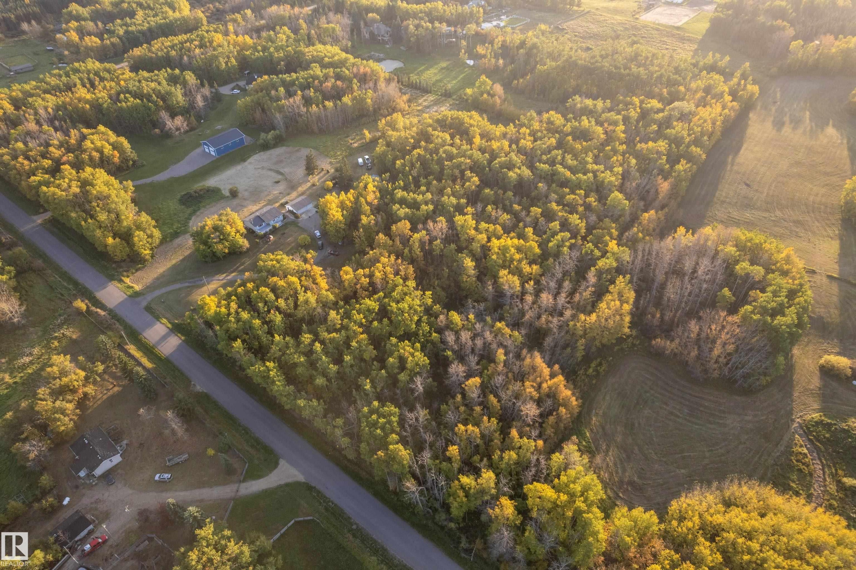 Expansive property featuring mature trees, open field areas, paved road access, and multiple outbuildings - 52314 Rge Road 215, Rural Strathcona County, AB