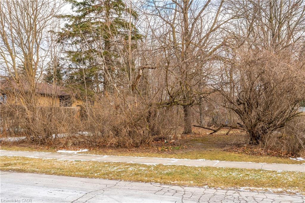 205 Leamon Street, Waterford, ON