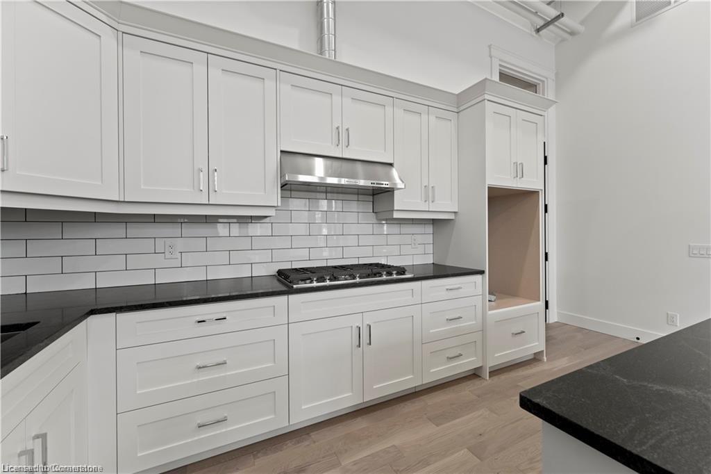 204-247 Brock Street, Amherstburg, ON - Indoor Photo Showing Kitchen With Upgraded Kitchen