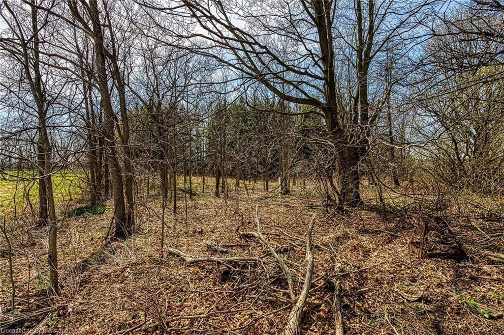 521 Baptist Church Road, Brantford, ON - Outdoor With View