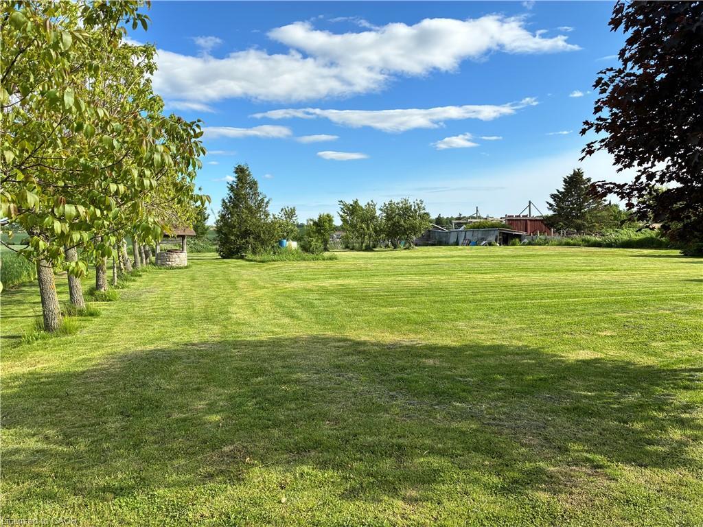 3088 Haldimand 9 Road, York, ON - Outdoor With View