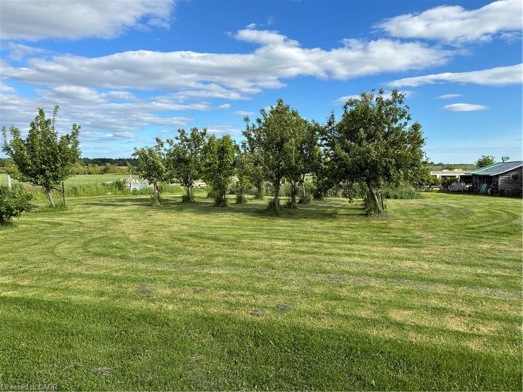 3088 Haldimand 9 Road, York, ON - Outdoor With View