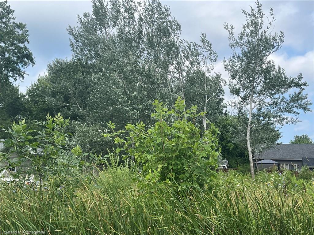 17 Dickhout Road, Lowbanks, ON