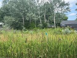 17 Dickhout Road Lowbanks, ON N0A 1K0