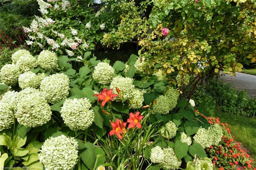 4131 Lorraine Crescent, Burlington, ON - Outdoor