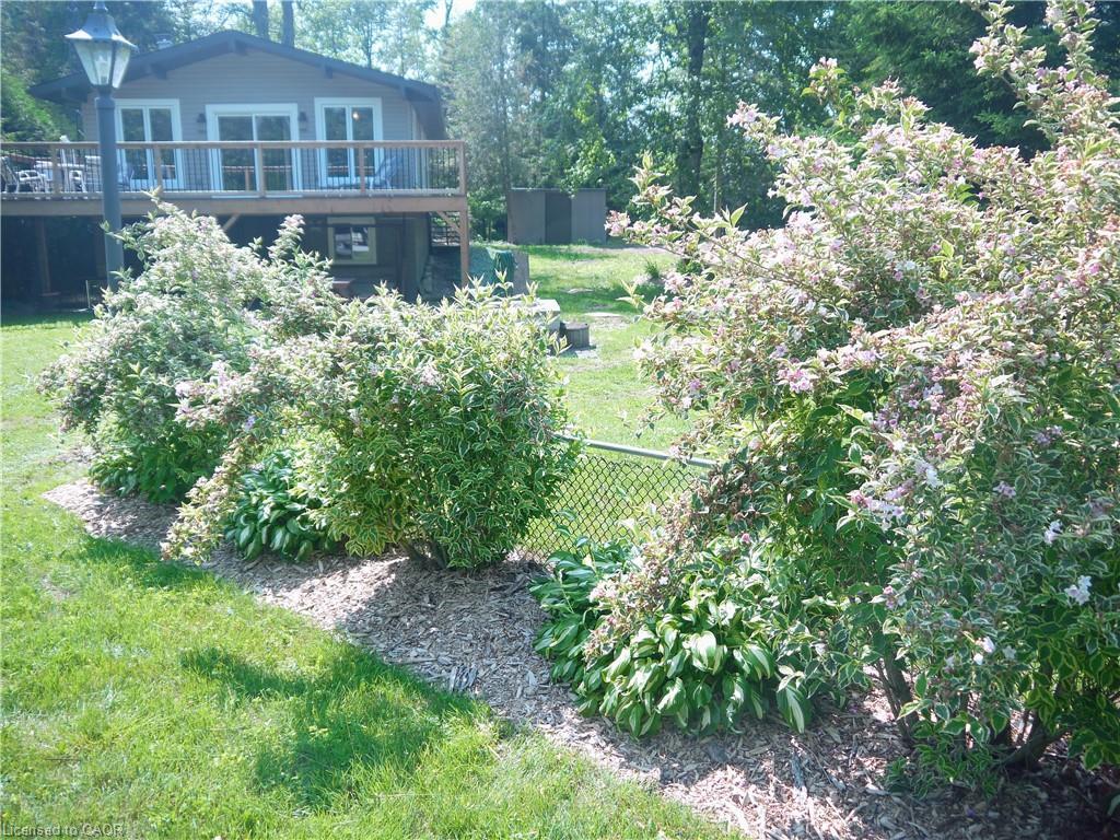 313 Spruce Crescent, Ripley, ON - Outdoor