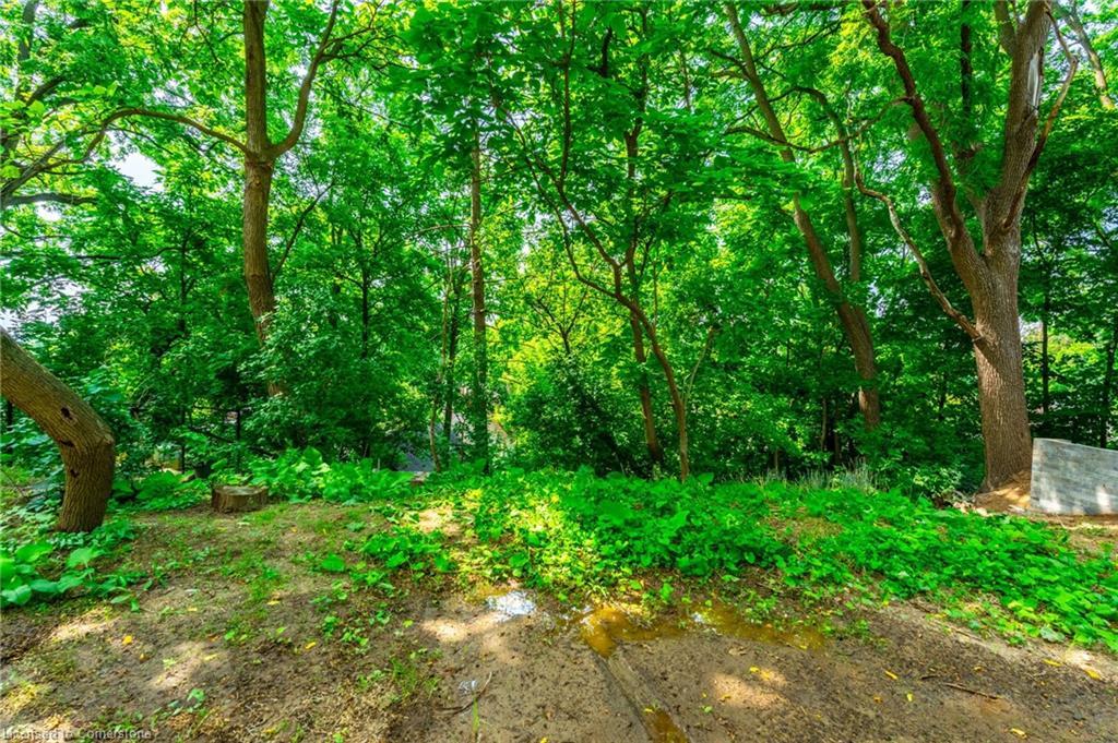 98 Alma Street, Dundas, ON