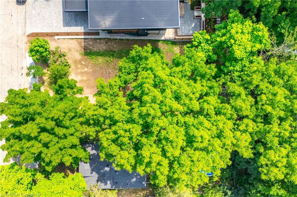 98 Alma Street, Dundas, ON