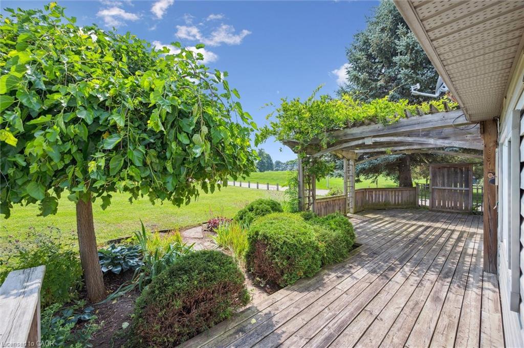 185 Wesley Crescent, Waterloo, ON - Outdoor With Deck Patio Veranda