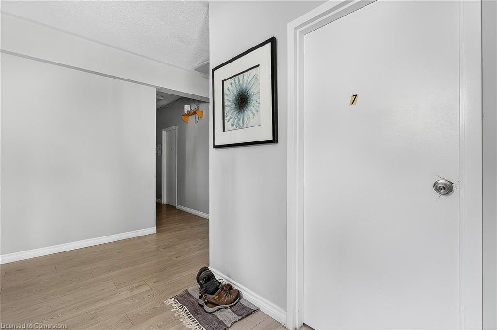 43 Dupont Street E, Waterloo, ON - Indoor Photo Showing Other Room