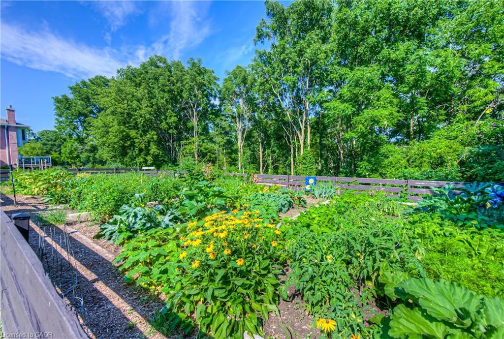 4-313 George Street N, Cambridge, ON - Outdoor