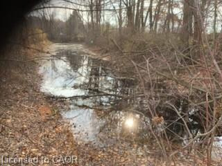 764 Forestry Road, Simcoe, ON