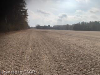 764 Forestry Road, Simcoe, ON