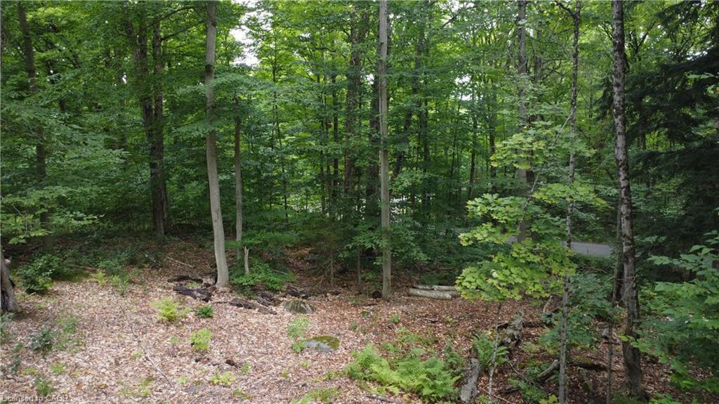 N/A Fader Drive, Stanhope, ON