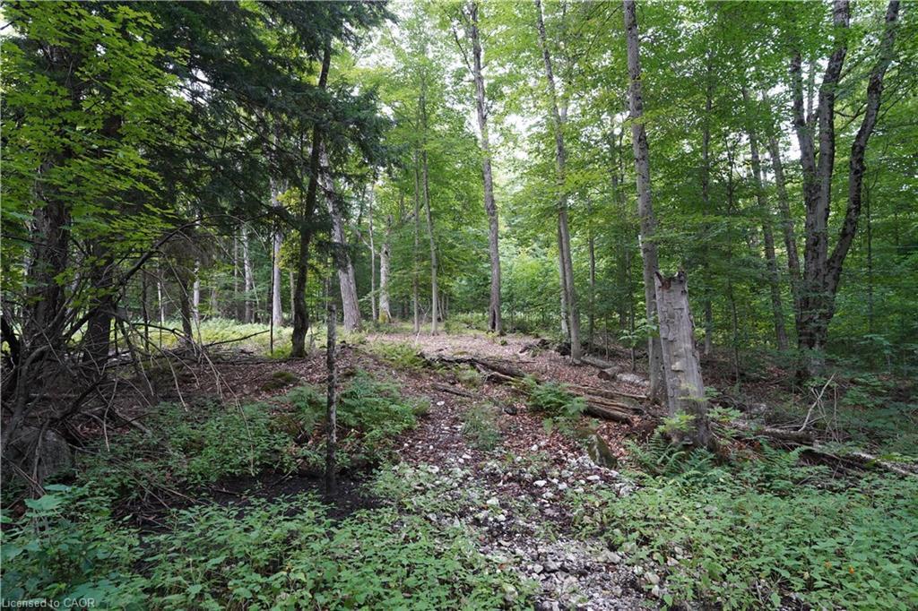 N/A Fader Drive, Stanhope, ON