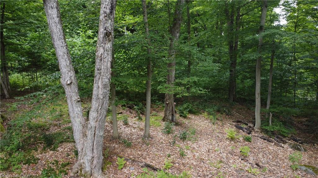 N/A Fader Drive, Stanhope, ON