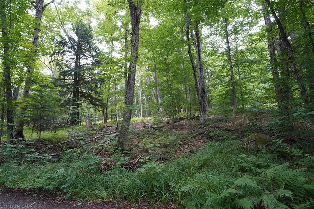 N/A Fader Drive, Stanhope, ON