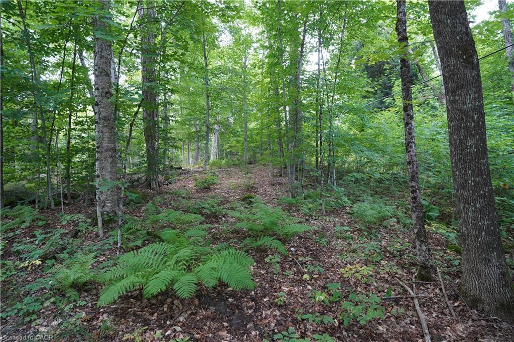 N/A Fader Drive, Stanhope, ON