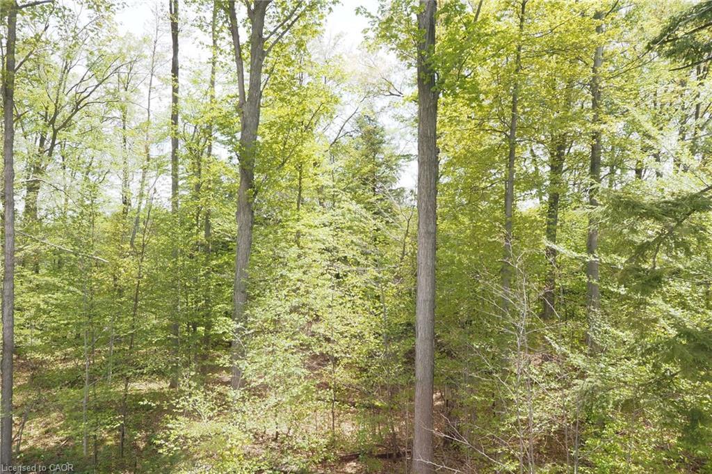 220 Jeffrey Place, Kitchener, ON - Outdoor With View