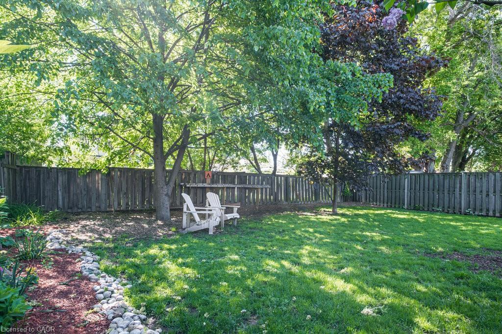 87 East 9Th Street, Hamilton, ON - Outdoor With Backyard