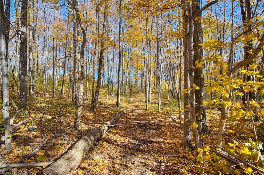 103-35 Green Valley Drive, Kitchener, ON - Outdoor With View