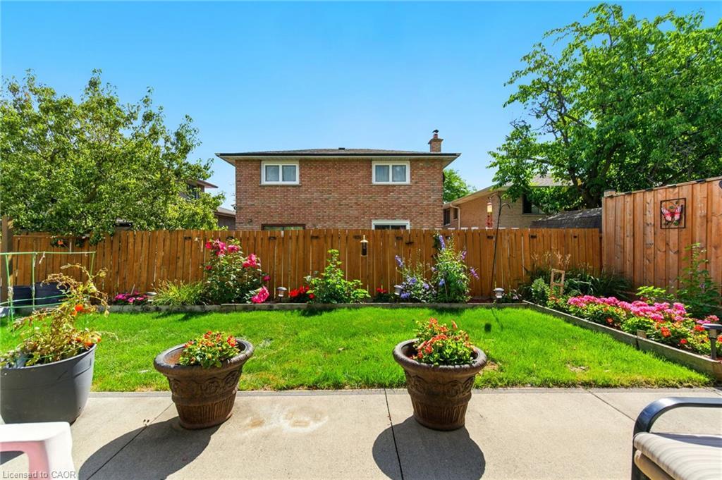 226 Carson Drive, Hamilton, ON - Outdoor With Backyard