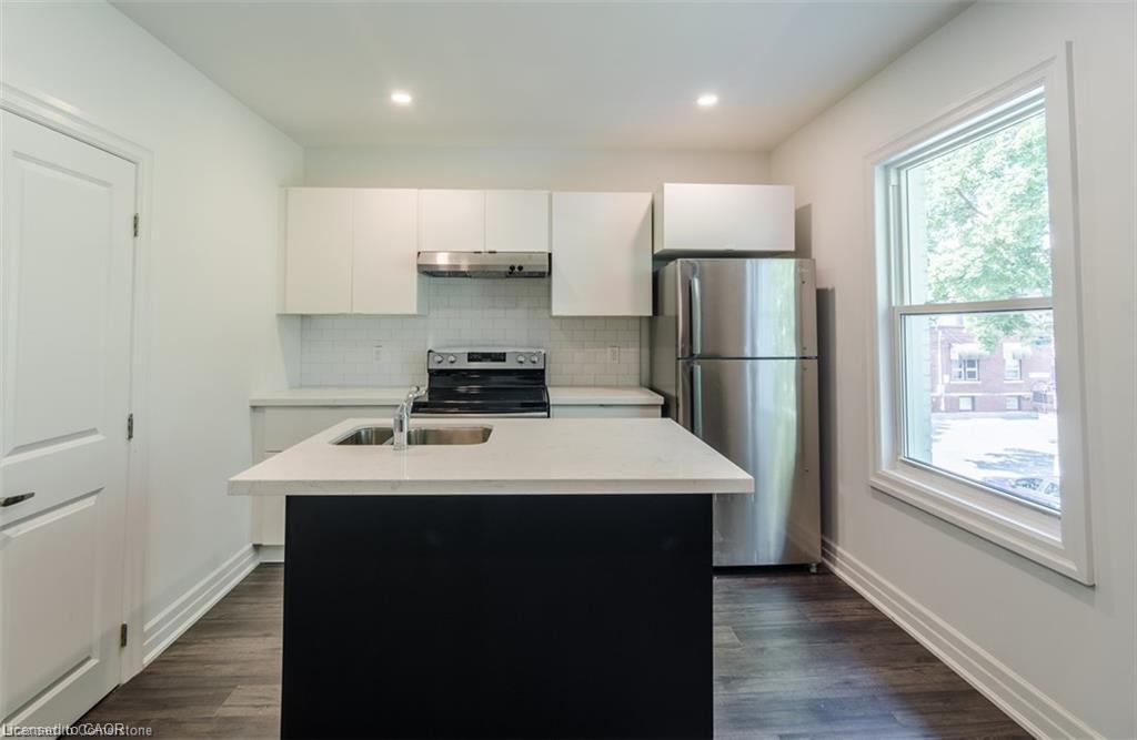 115 Spadina Avenue, Hamilton, ON - Indoor Photo Showing Kitchen With Double Sink