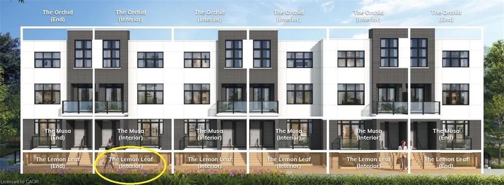 27-31 Mill Street, Kitchener, ON - Other