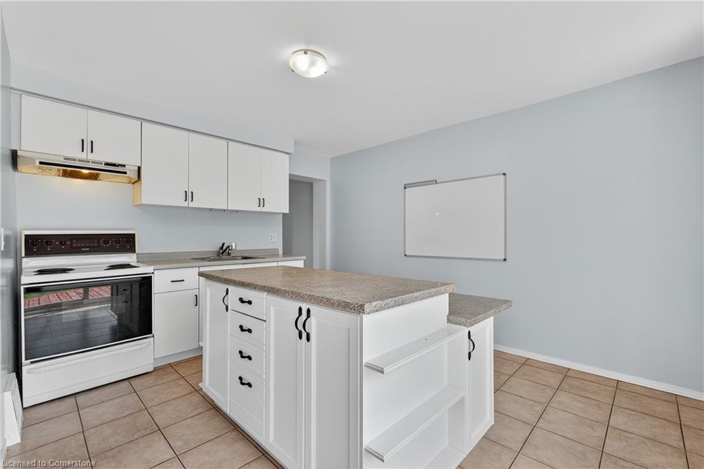 111 Hillyard Street, Hamilton, ON - Indoor Photo Showing Kitchen