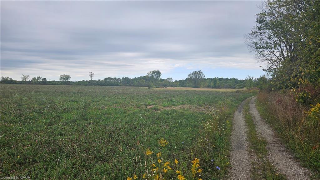 Pt S1/2 Lt 7 Junction Road, Cayuga, ON