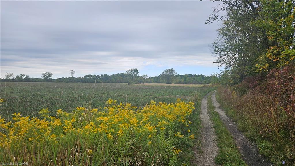 Pt S1/2 Lt 7 Junction Road, Cayuga, ON