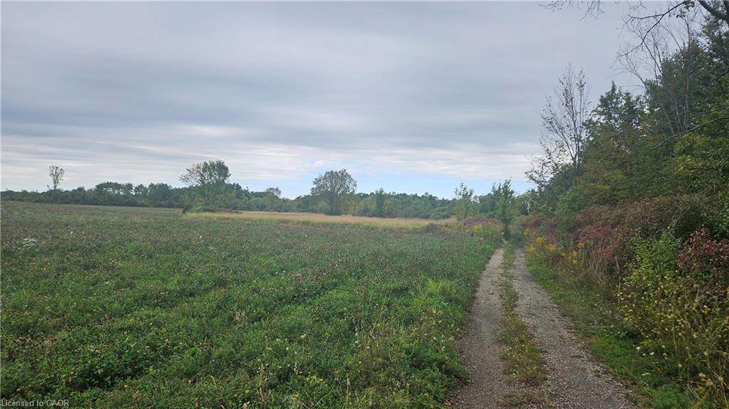 Pt S1/2 Lt 7 Junction Road, Cayuga, ON