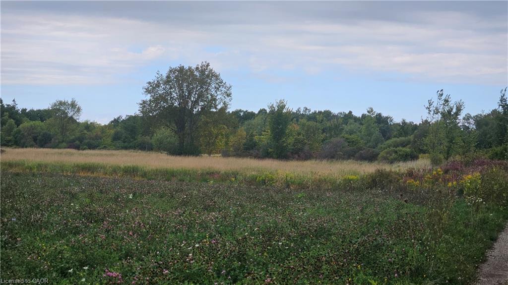 Pt S1/2 Lt 7 Junction Road, Cayuga, ON