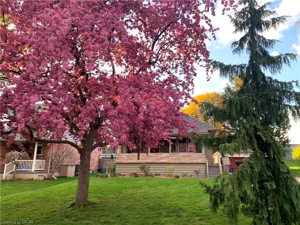 310 Kitchener Road, Cambridge, ON - Outdoor With Deck Patio Veranda