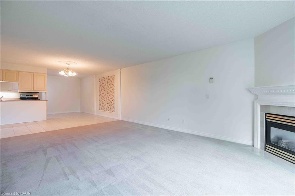 207-980 Golf Links Road, Hamilton, ON - Indoor With Fireplace