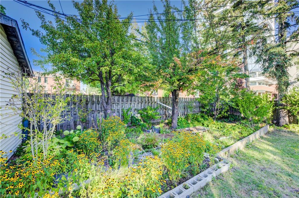 44 Walter Street, Kitchener, ON - Outdoor