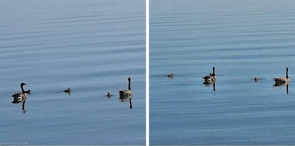 17 Maple Lane, Rainham, ON - Outdoor