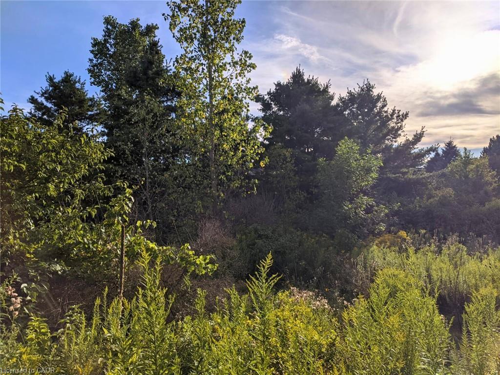 122-1440 Gordon Street, Guelph, ON - Outdoor With View