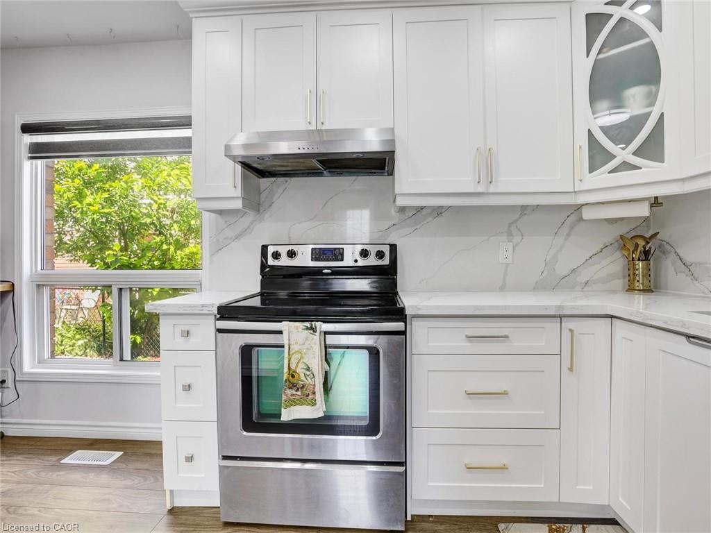 209 Briarmeadow Drive, Kitchener, ON - Indoor Photo Showing Kitchen With Upgraded Kitchen