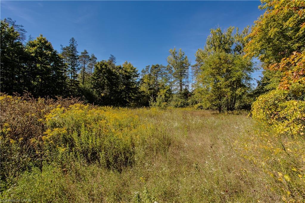 4871 Wellington Road 29, Guelph, ON - Outdoor With View