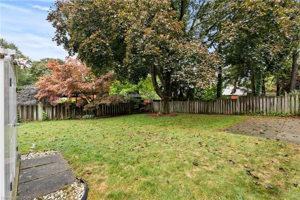 98 Laurier Avenue, Hamilton, ON - Outdoor With Backyard
