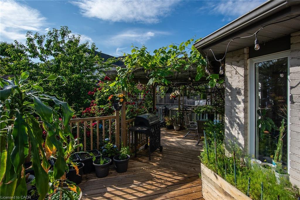 11 Apple Ridge Drive, Kitchener, ON - Outdoor With Deck Patio Veranda