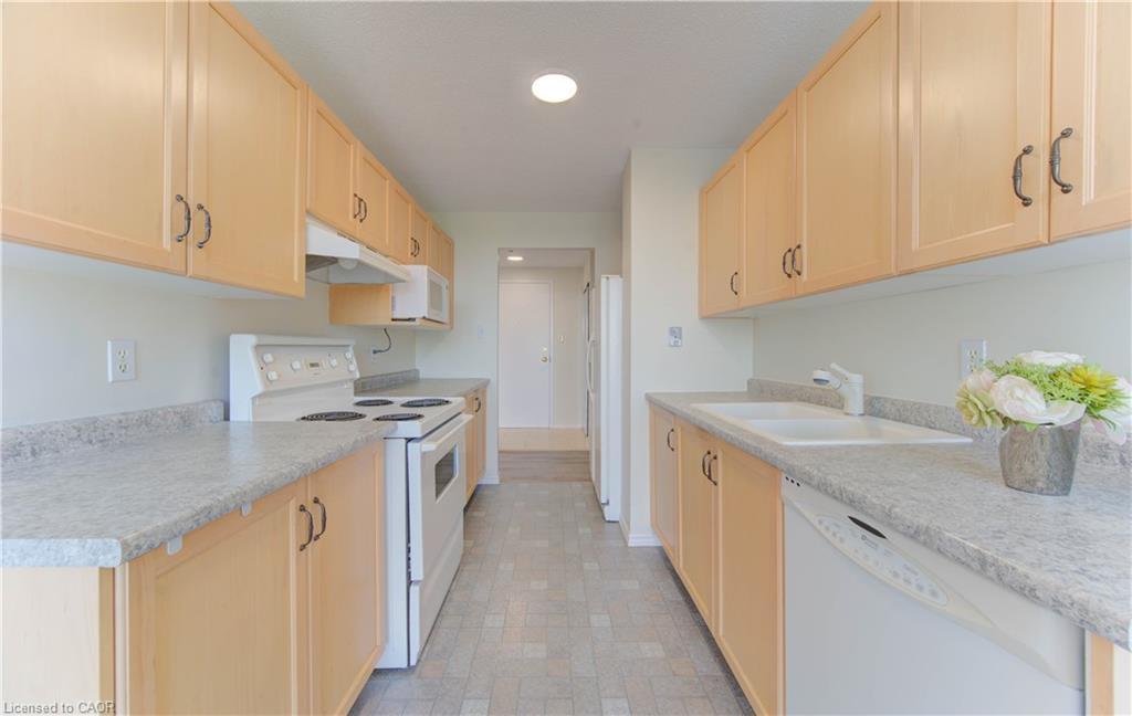 512-55 Blue Springs Drive, Waterloo, ON - Indoor Photo Showing Kitchen