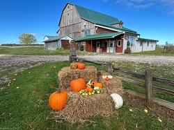 7941 Highway 26 Clearview, ON L0M 1S0