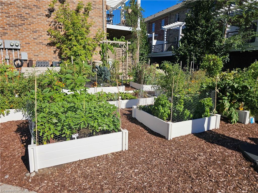 412-155 St. Leger Street, Kitchener, ON - Outdoor