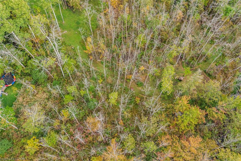 1545 Brock Road, Flamborough, ON - Outdoor