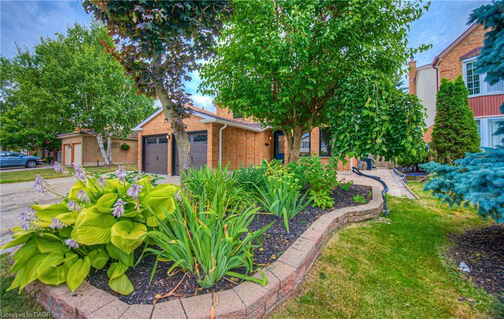 243 Highview Drive, Kitchener, ON - Outdoor