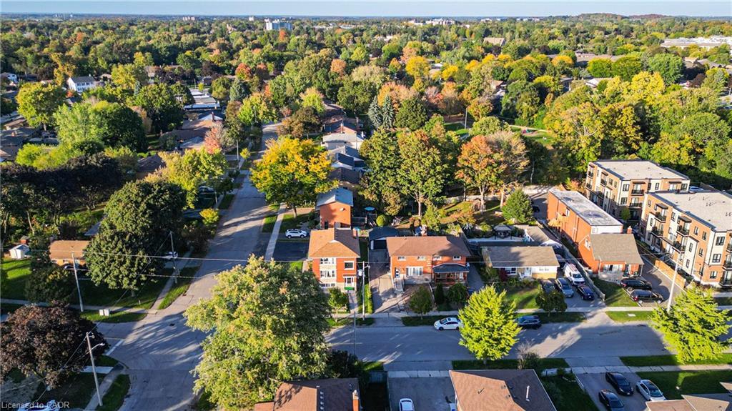 346 Prospect Avenue, Kitchener, ON