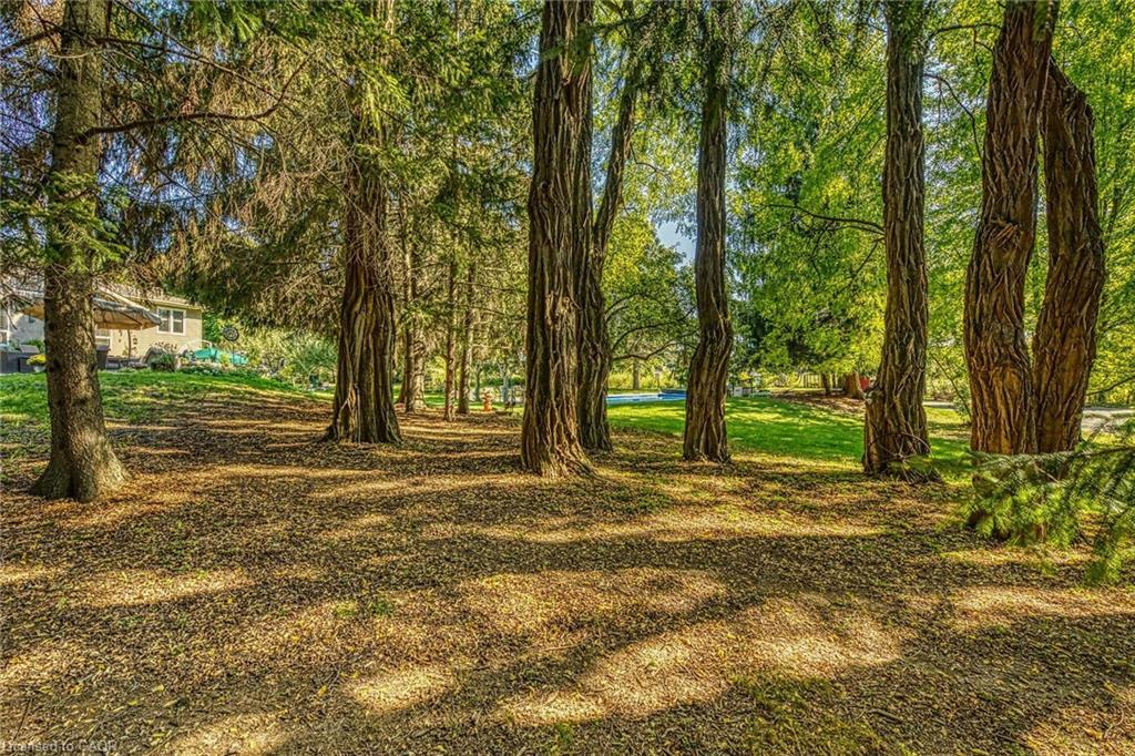 5590 Blind Line, Burlington, ON - Outdoor With View