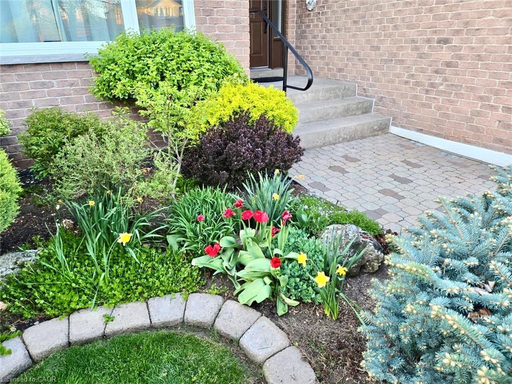 223 River Oaks Boulevard W, Oakville, ON - Outdoor